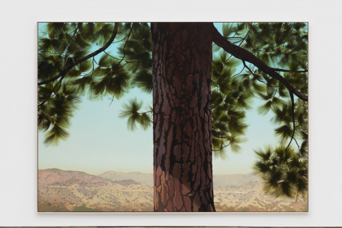 Jake Longstreth BA '99 Sand Canyon (Pine 1), 2021, Oil on muslin, 84x120 in.