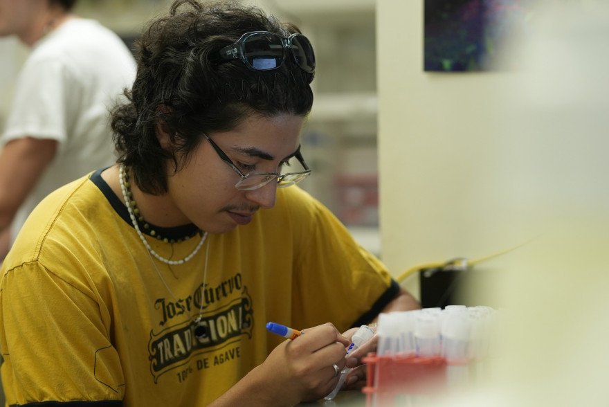 Brandon Apresa BA '24 in the Weissman Lab (summer 2023).   Credit: Stephen Mercier