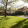 Students walking on undergraduate campus near the Career Center.